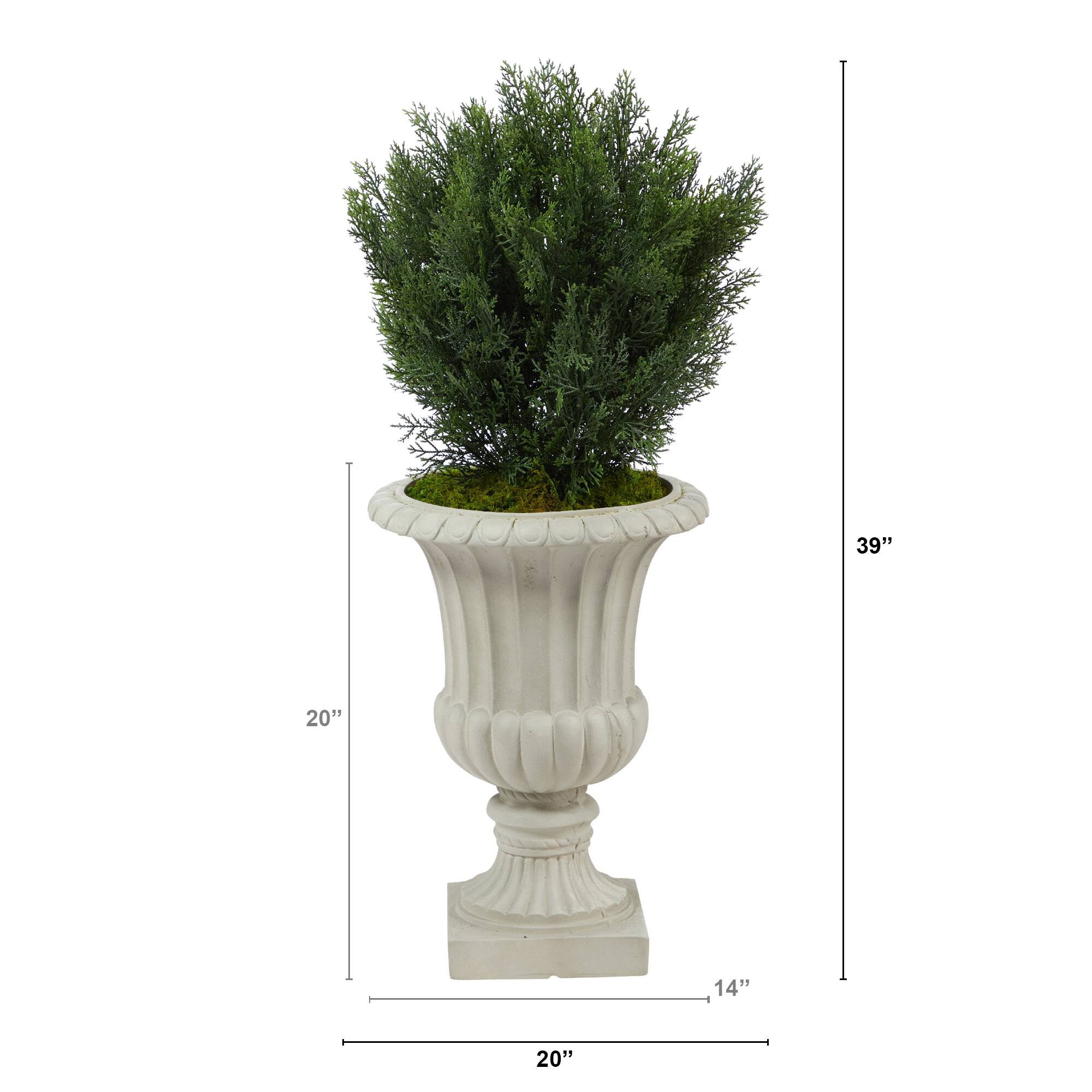 3ft. Cedar Tree in Sand Finished Urn